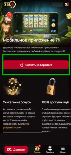 Страница клиента iOS